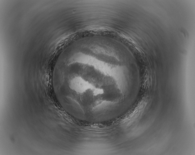 X0000112470966200908171155