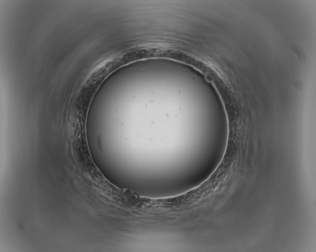 X0000112470967200908171155