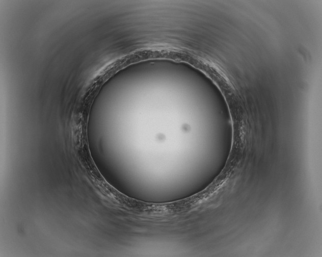 X0000112470968200908171155