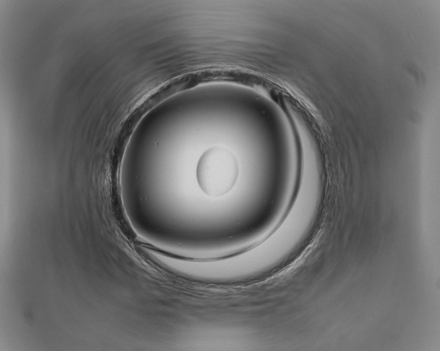 X0000112470969200908171155