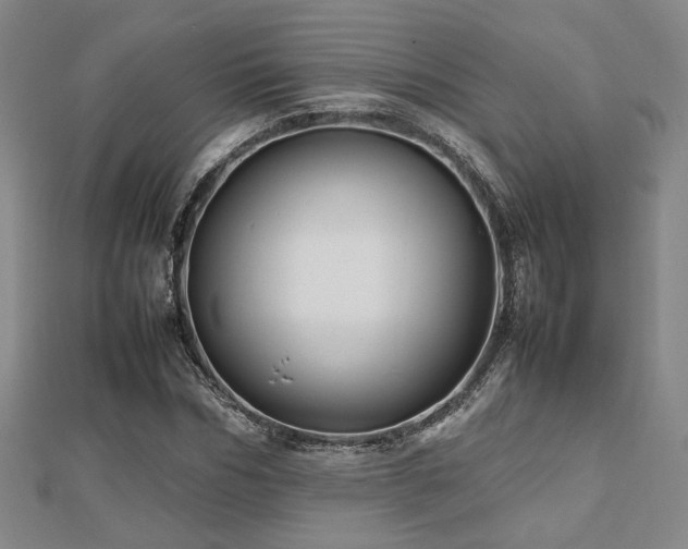 X0000112470970200908171155