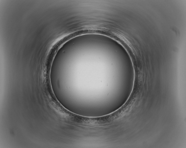 X0000112470971200908171155