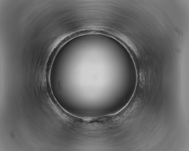 X0000112470972200908171155