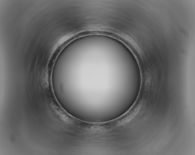 X0000112470974200908171155