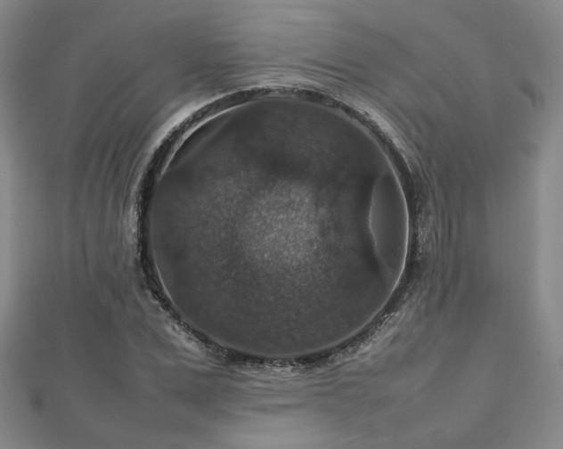 X0000112470975200908171155