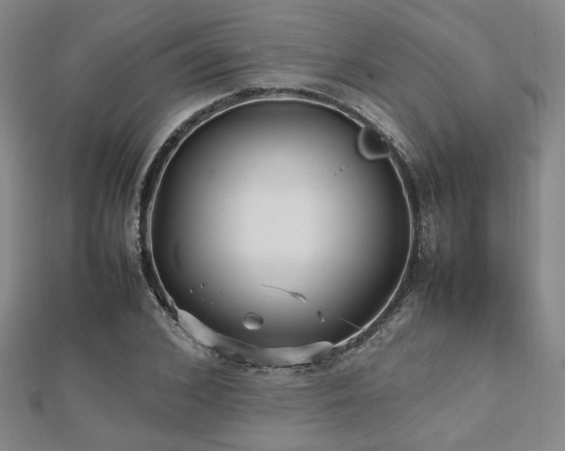 X0000112470976200908171155