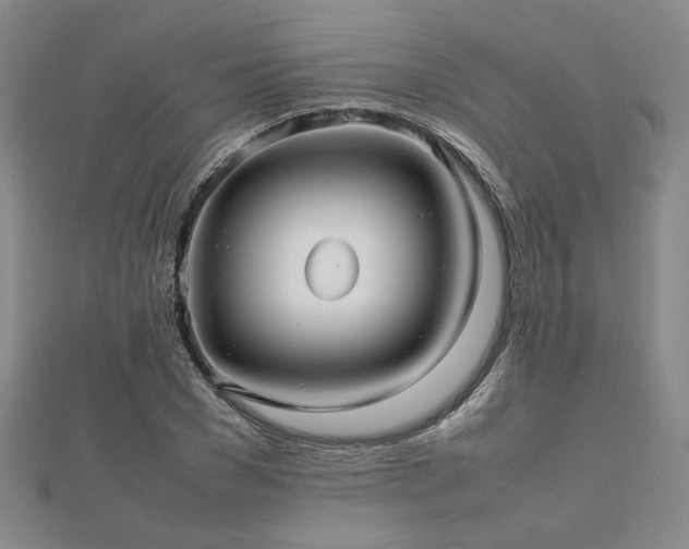 X0000112470977200908171155