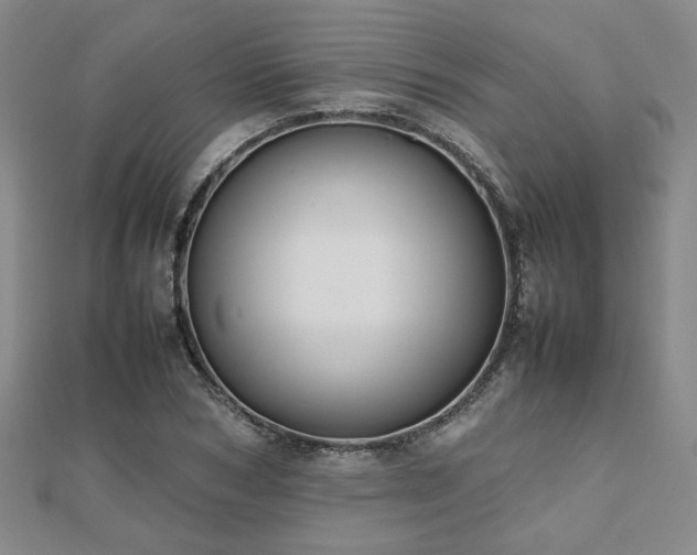 X0000112470978200908171155