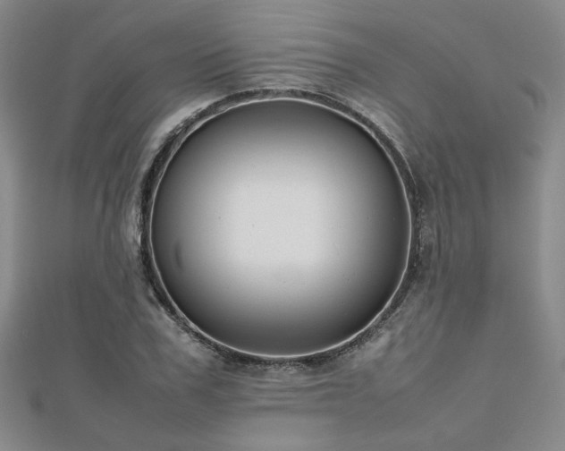 X0000112470979200908171155