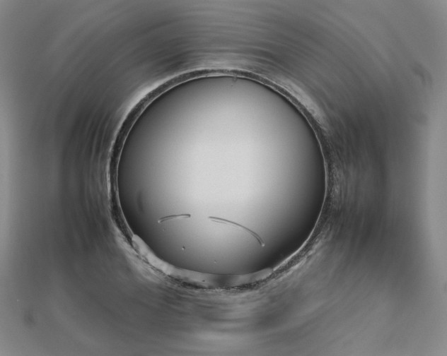 X0000112470980200908171154