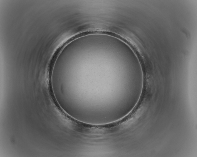 X0000112470981200908171154