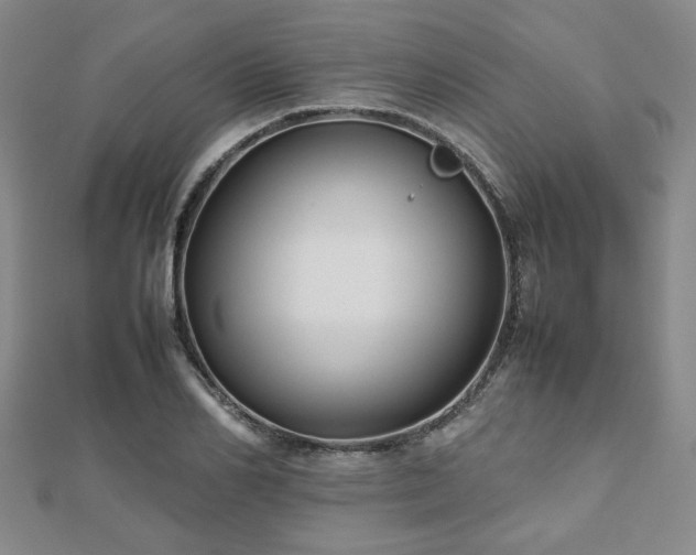 X0000112470982200908171154