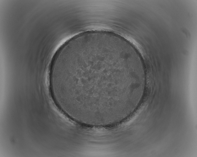 X0000112470983200908171154