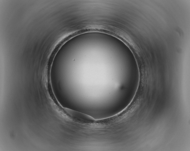 X0000112470984200908171154