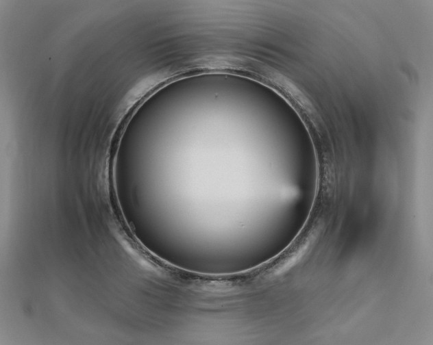 X0000112470986200908171154