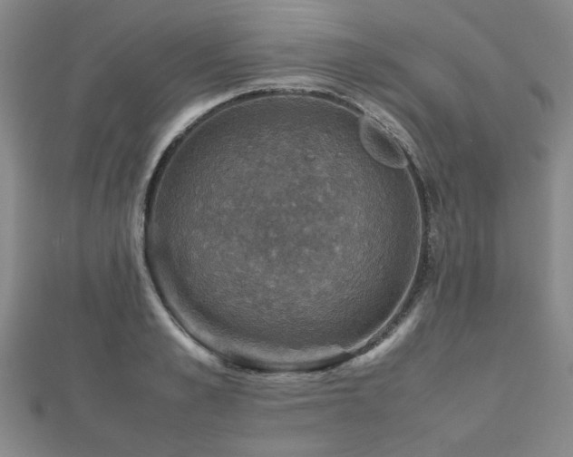 X0000112470989200908171154