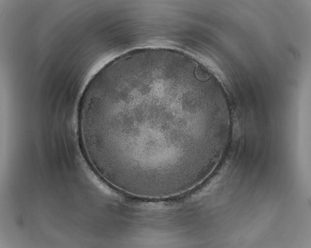 X0000112470990200908171154