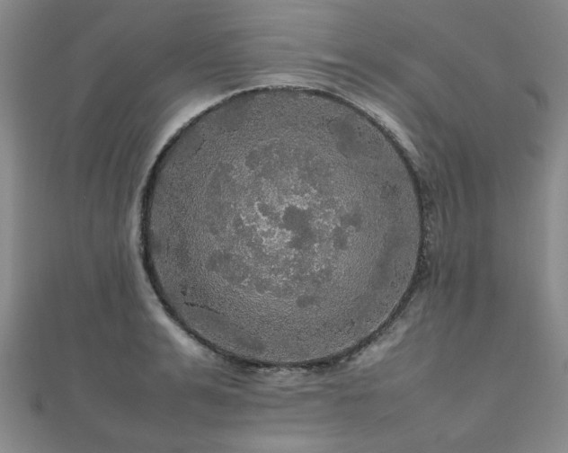 X0000112470991200908171154