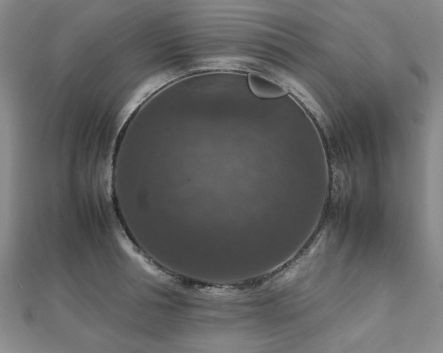 X0000112470994200908171154