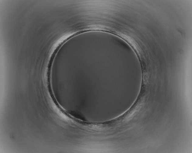 X0000112470995200908171154