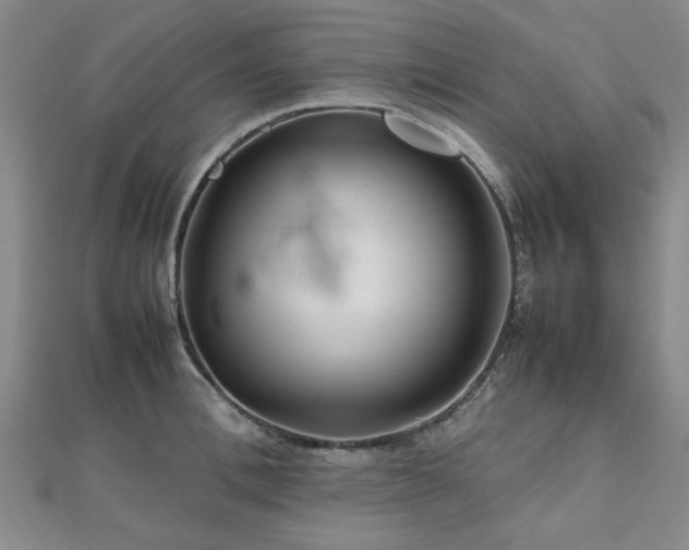 X0000112470996200908171154