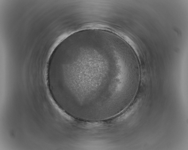 X0000112470997200908171154