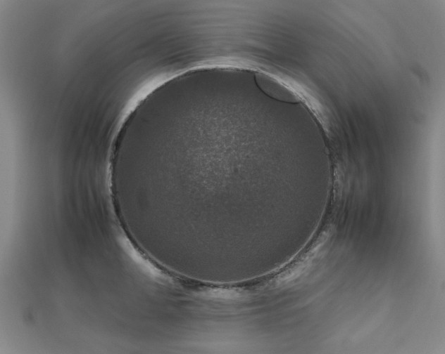 X0000112470998200908171154