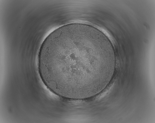 X0000112470999200908171154