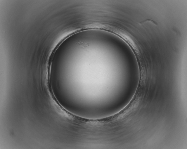 X0000112471000200908171154