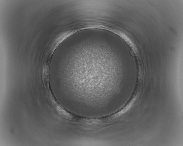 X0000112471001200908171154