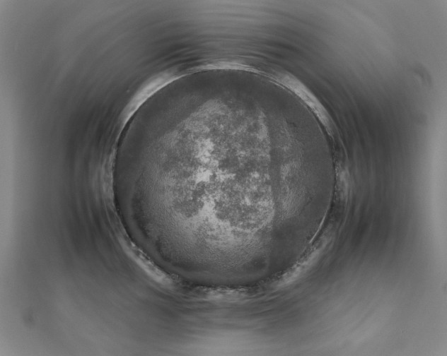 X0000112471002200908171154