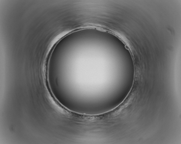 X0000112471003200908171154