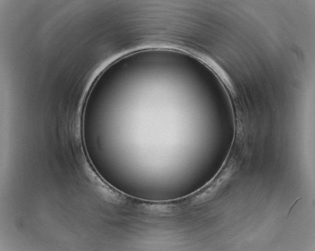 X0000112471004200908171154