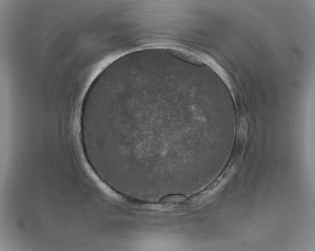 X0000112471005200908171154