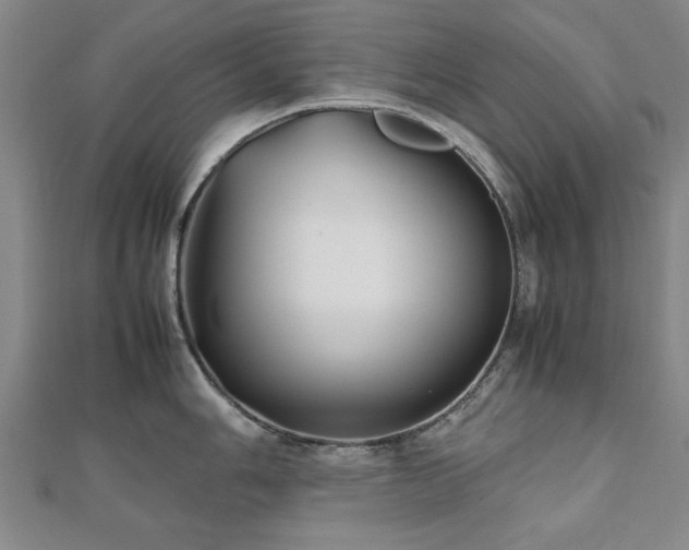 X0000112471006200908171154