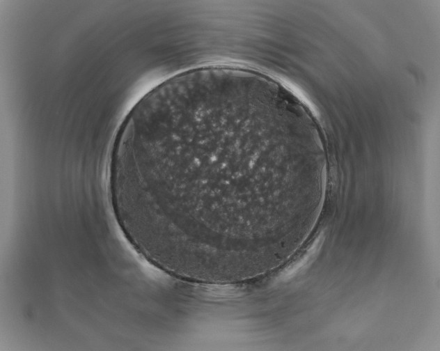 X0000112471007200908171154