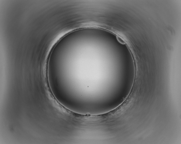 X0000112471008200908171154