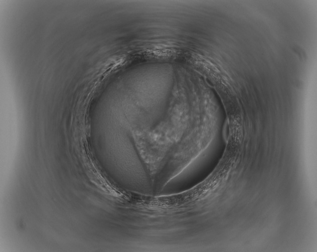 X0000112471009200908171154