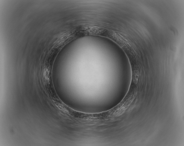 X0000112471010200908171154