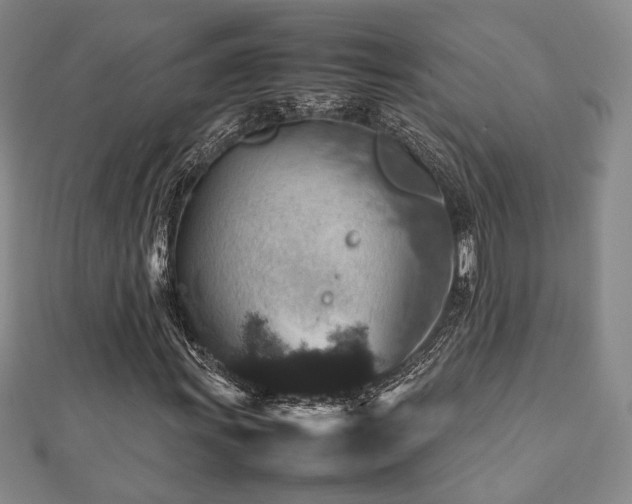 X0000112471011200908171154