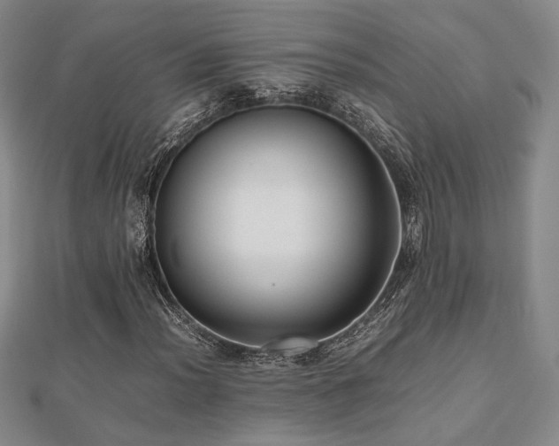 X0000112471012200908171154