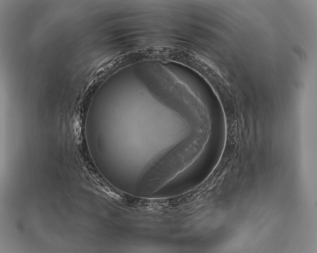 X0000112471013200908171154