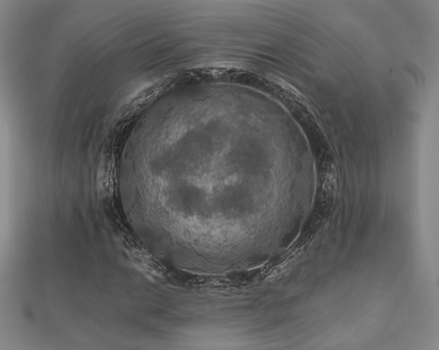 X0000112471014200908171154