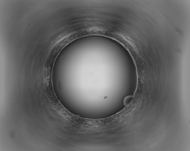 X0000112471015200908171154