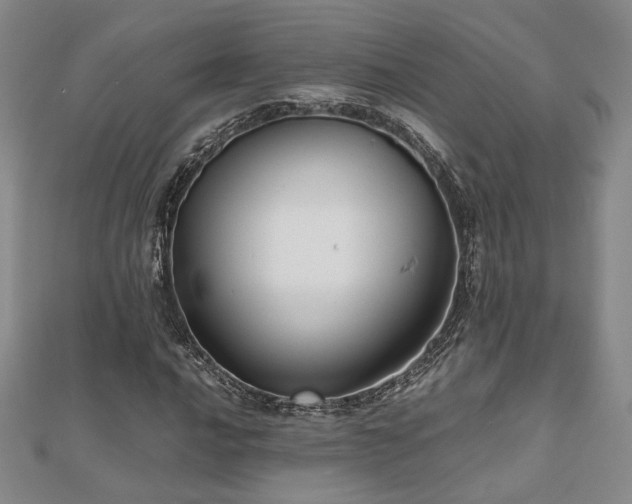 X0000112471016200908171154