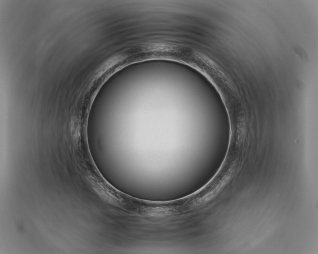 X0000112471017200908171154