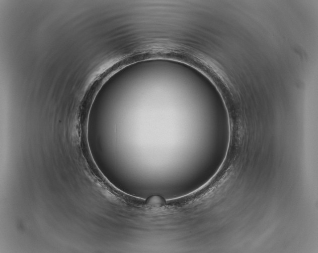 X0000112471018200908171154