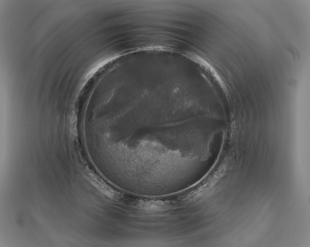 X0000112471019200908171154