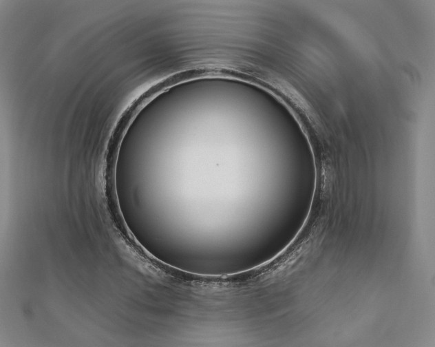 X0000112471020200908171154