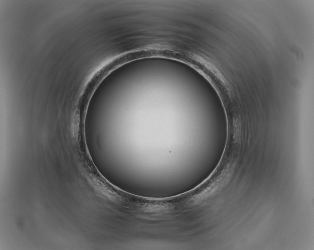 X0000112471021200908171154